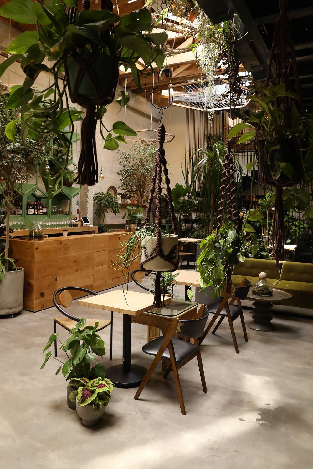 Soul of the Party - Wholesale Hanging Planter - Double Helix Plant Hanger2