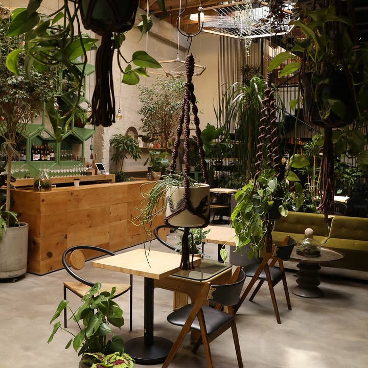 Soul of the Party - Vendita all'ingrosso Fioriere a sospensione - Appendiabiti a doppia elica2