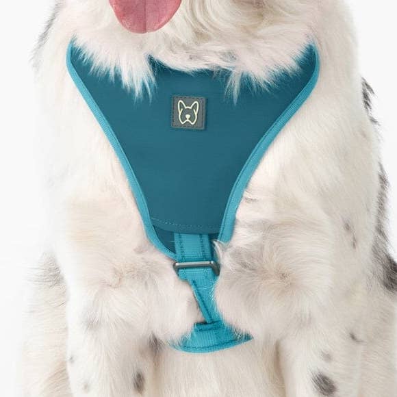 Neopren Sporthundsele - Blå för wholesale av Nandog Pet Gear