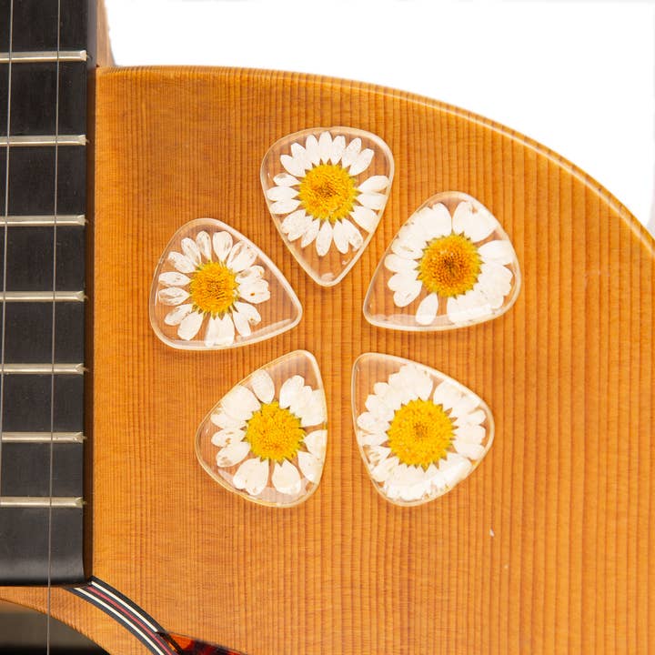 Flower Guitar Picks - Daisy | Novelty Gift for Music Lover for wholesale by Terra Tone