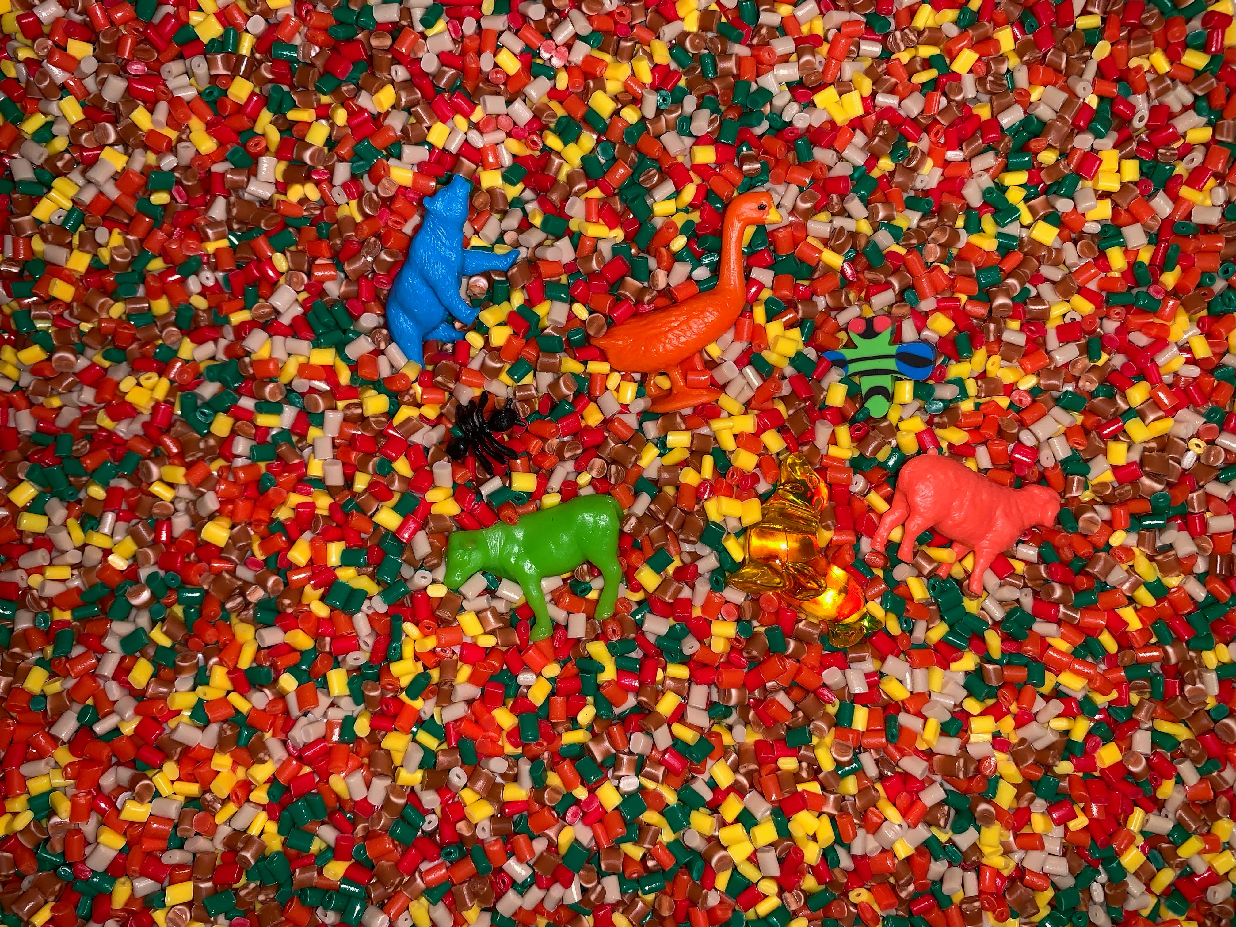 Find It Games - Wholesale Brain Game - Kids - Find It Games Zoo Version Hidden Object Game - Find and Seek3