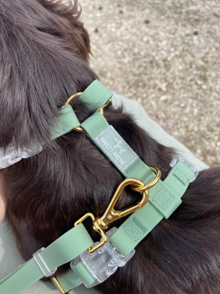 Marley and Me – wholesale Sele - Hund – Mallorca sele4