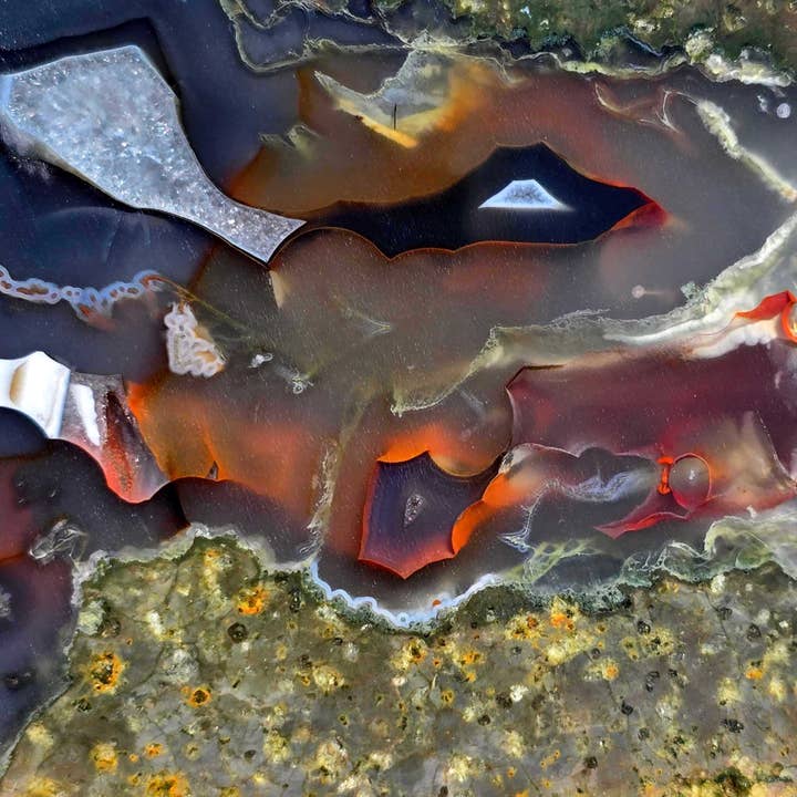 RARE Desolation ThunderEgg Grezzo Frammento Pietra Lapidaria Faccia Tagliata per la vendita all'ingrosso da parte di Lapidary Central