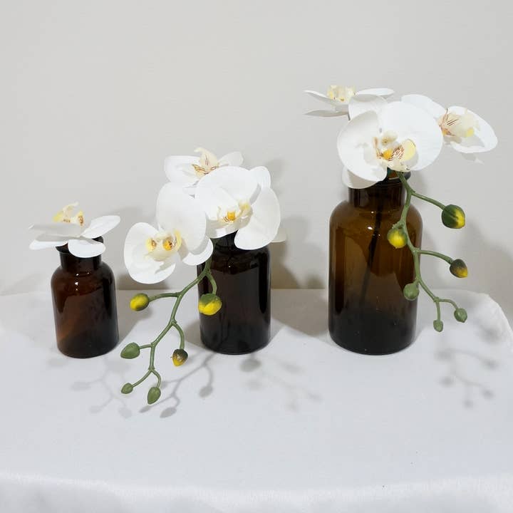 Dark Amber Medicine Bottle Bud Vases Apothecary Jars and other Purchase wholesale tall glass bottles. Free returns & net 60 terms on Faire trending on Faire.