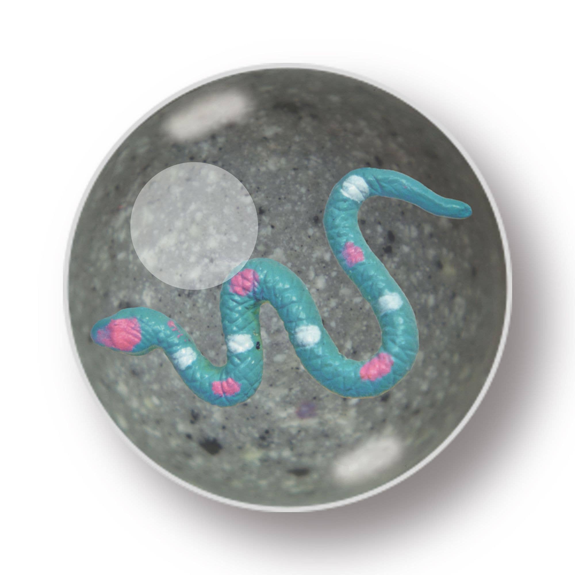 Deluxebase – wholesale Party gift – Mega Bounce - Snake Bouncy Ball1