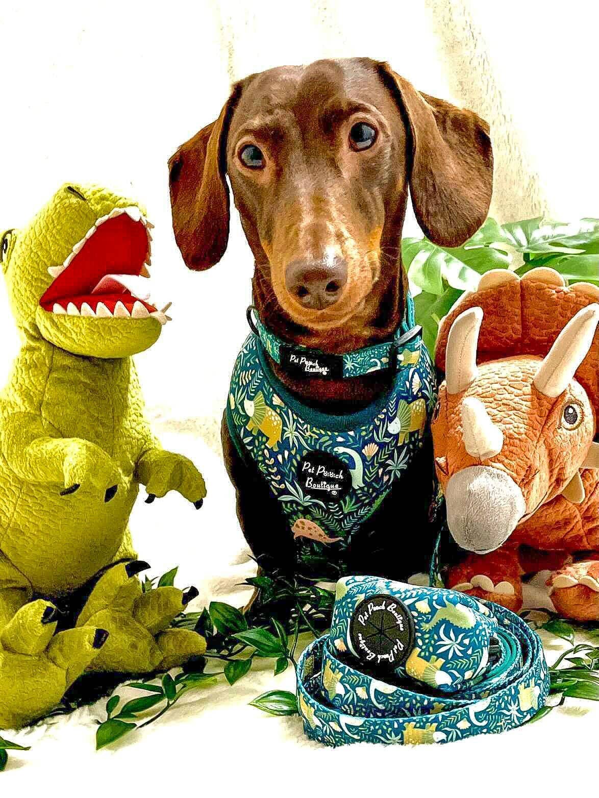 Pet Pooch Boutique - Wholesale Pet Harness - Dog - Dino Rawr Dinosaur Dog Harness With Optional Bow Tie4
