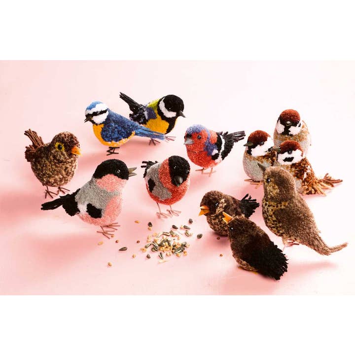 Simon & Schuster - Wholesale Crafts, Hobbies & DIY - Pom-Pom Birds by Susanne Pypke1