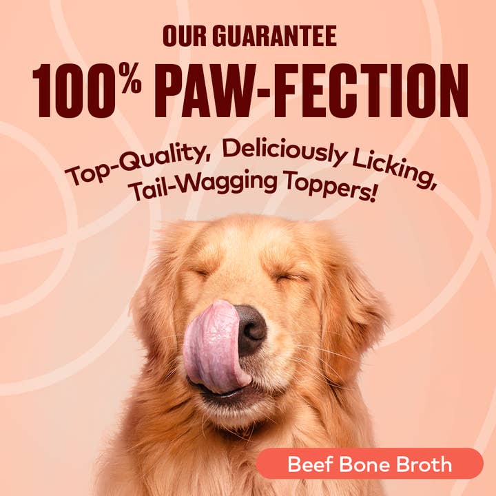 Furvor - Wholesale Pet Food - Dog - Bone Broth Topper - Beef4