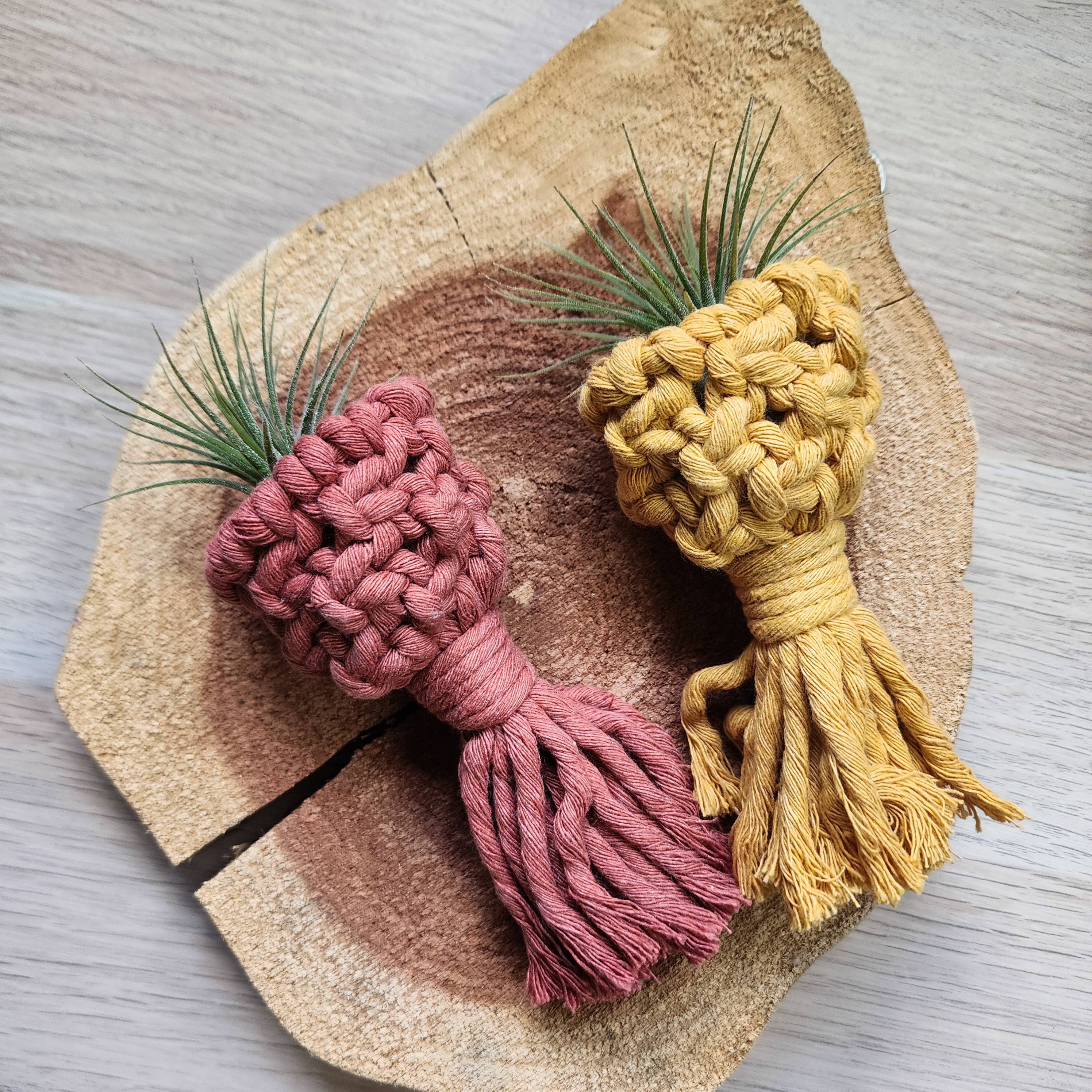 Handmade By Uruba - Vendita all'ingrosso Fioriere a sospensione - Porta Piante Aeree Magnetico per Frigorifero | Accessori per Piante Fatti a Mano7