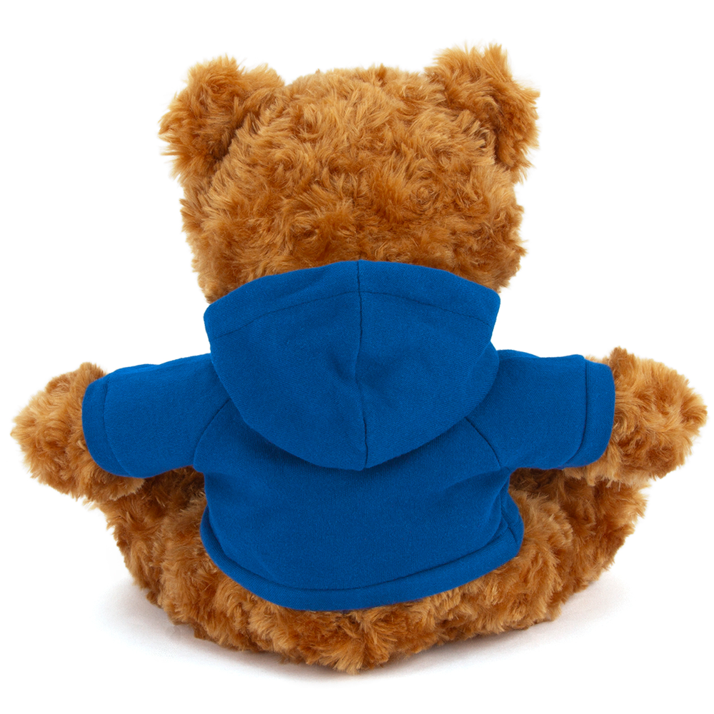 Plushland – wholesale Stuffed/plush toy – Kids & baby – 11" Personalized Teddy Bear in Hoodie | Custom Sitting Bear22