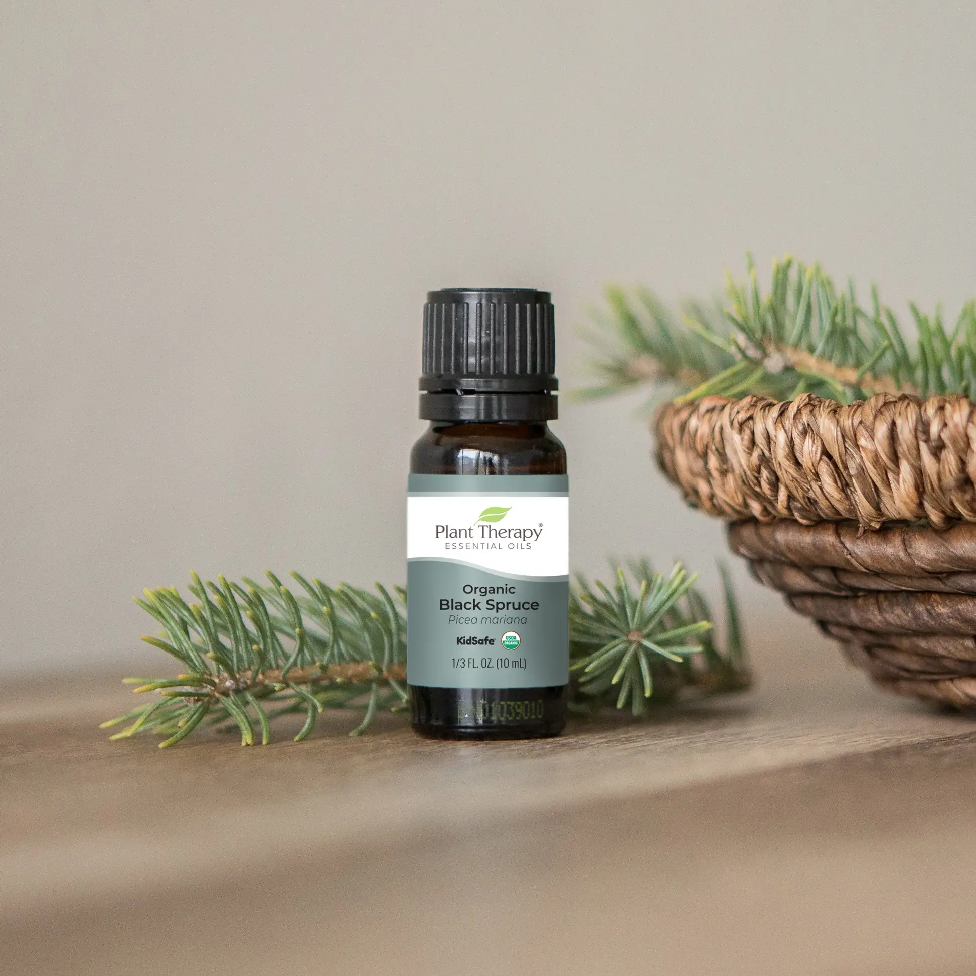 Plant Therapy - Wholesale Essential Oil - Organic Black Spruce Essential Oil 10 mL2