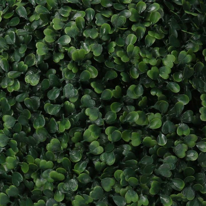 Round Green Boxwood CM Ø38h38 for wholesale on Faire