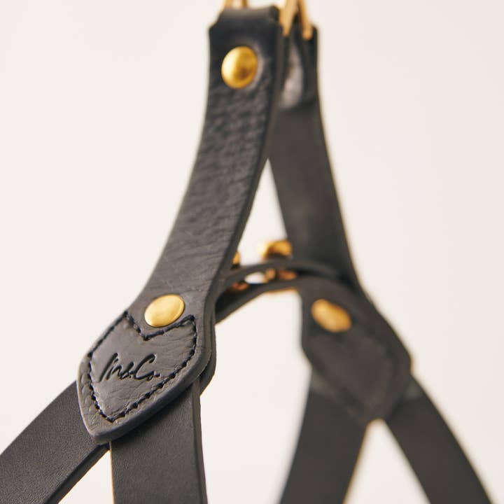 Muso & Co – Großhandel Haustiergeschirr – Hund – Klassisches Geschirr aus pflanzlich gegerbtem Leder14