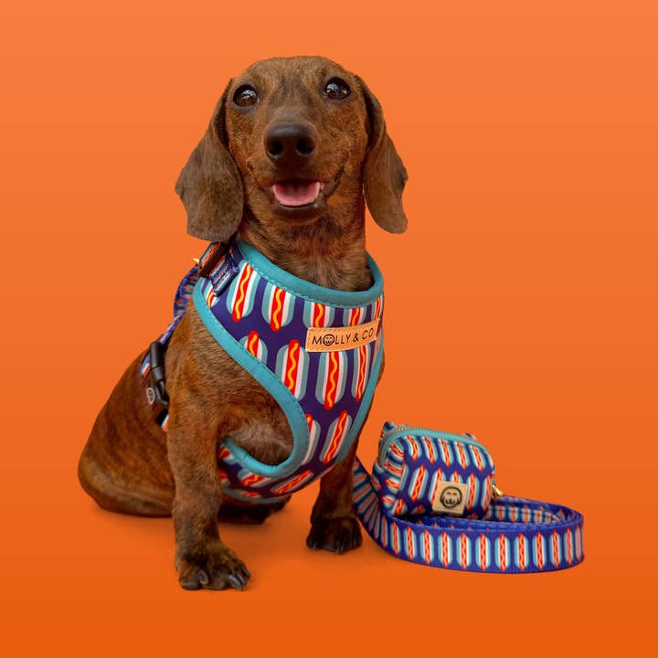 Wieners - Walking Bundle for wholesale by Molly & Co.