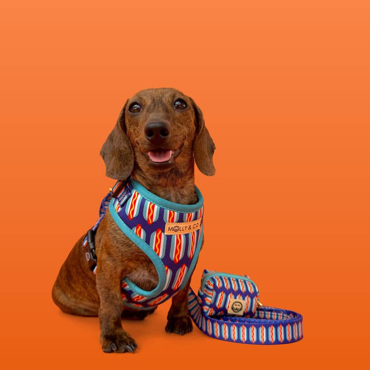 Molly & Co. – wholesale Pet leash – Dog – Wieners - Dog Leash2