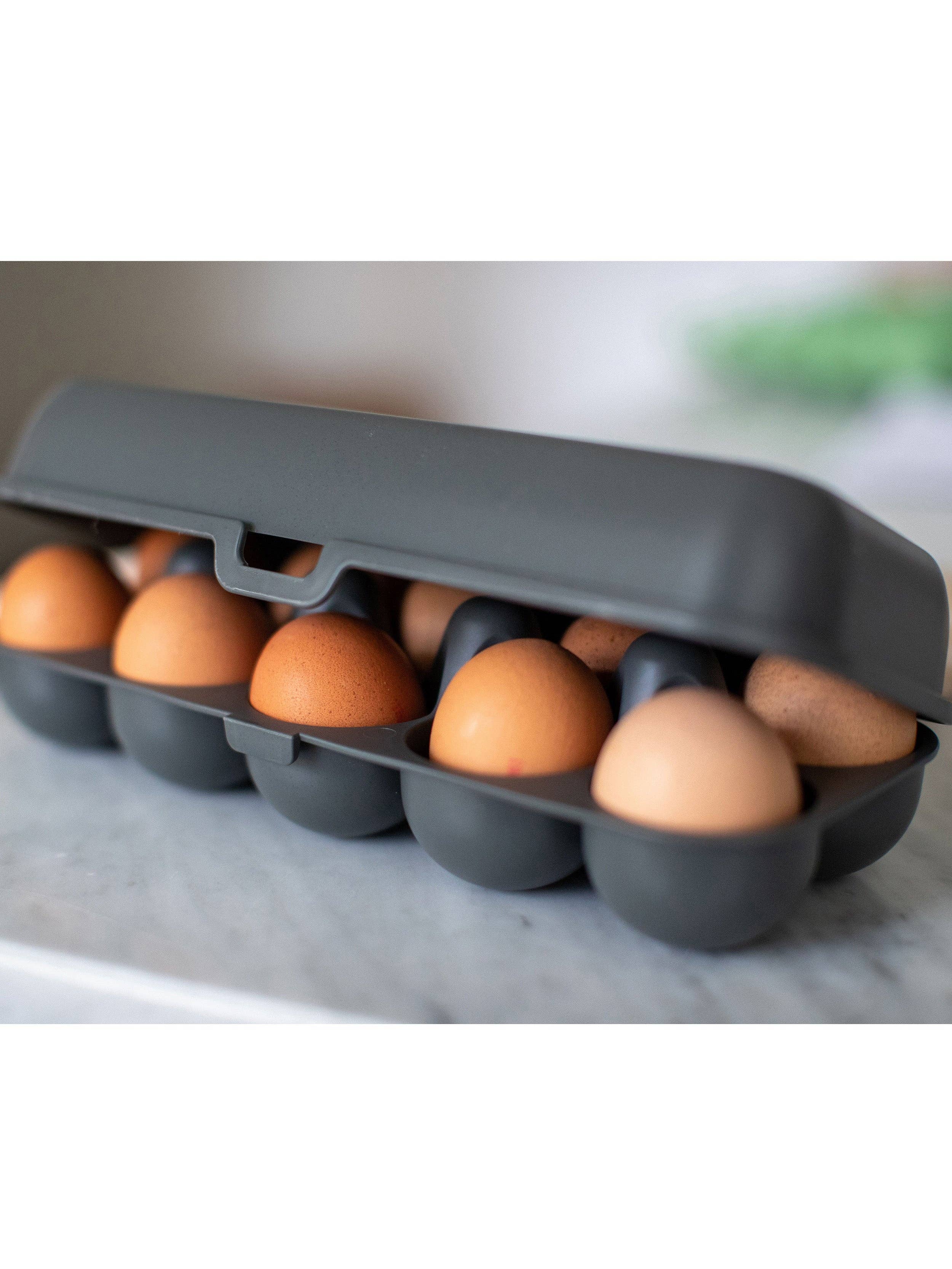 Nature ash grey Egg box EGGS TO GO for wholesale on Faire1