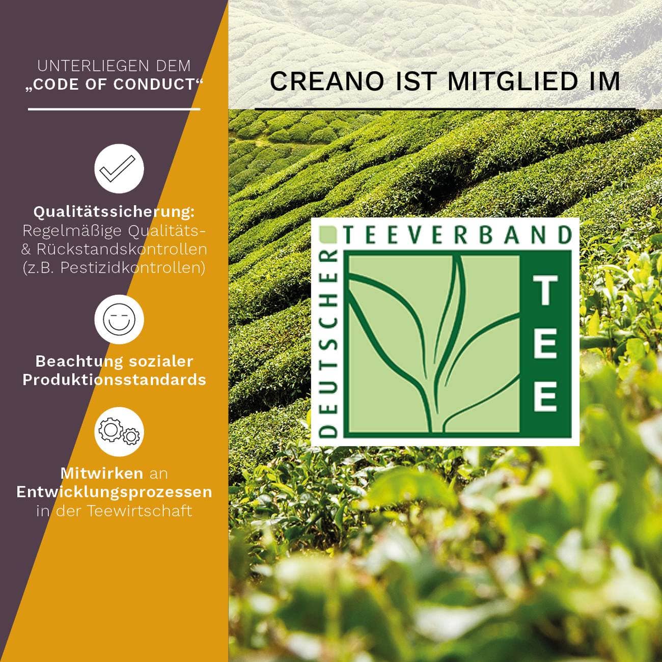 Creano – Engroshandel Teposer – Creano te boks 12 teelini 8 typer af hvid, sort te7