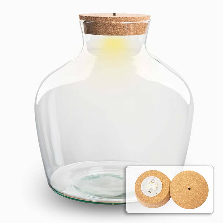 Terrarienflasche 'Fat Joe' - Inkl. LED-Korken - Geschlossenes Terrarium Ø 29 cm ↑ 30 cm für den Großhandel von Trendhero.nl/b2b