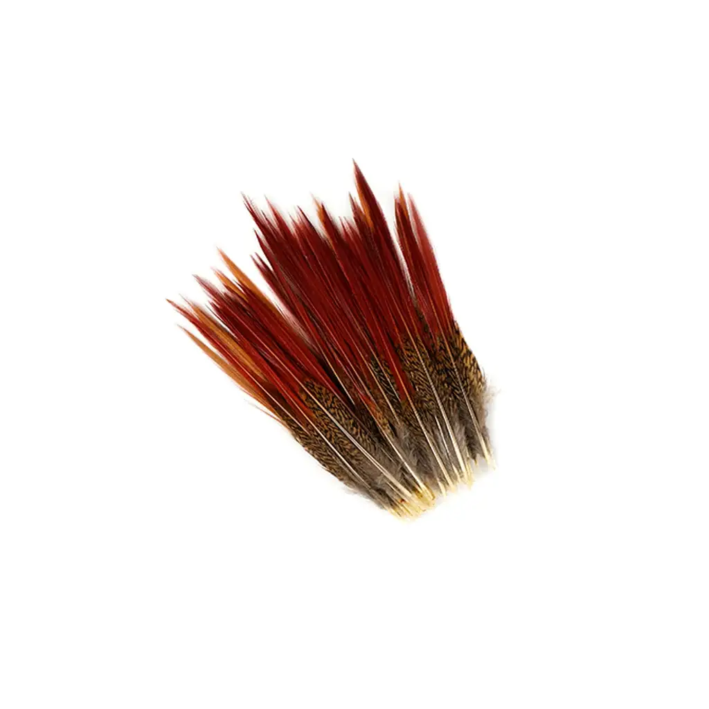 Zucker Feather Products - Vente Plume - Lot de 10 queues de faisan doré, rouge, 6 à 8 po, naturelles1
