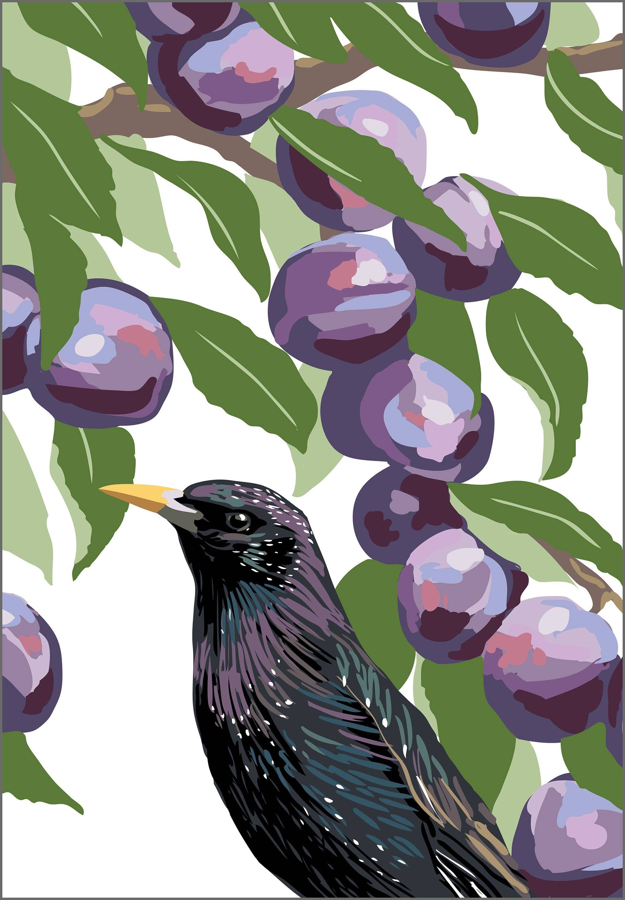 Rigel Paper – wholesale Art print – Starling & Plums Art Print: Bird in Fruit Garden