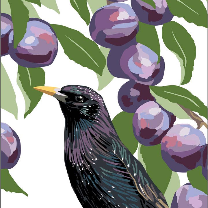 Impression d'art Starling & Plums : Oiseau dans le jardin fruitier pour la vente par Rigel Paper