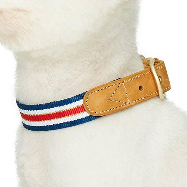 Coleira de Couro para Cães Dogs & Cats & Co. A la Mode por atacado de Blueberry Pet