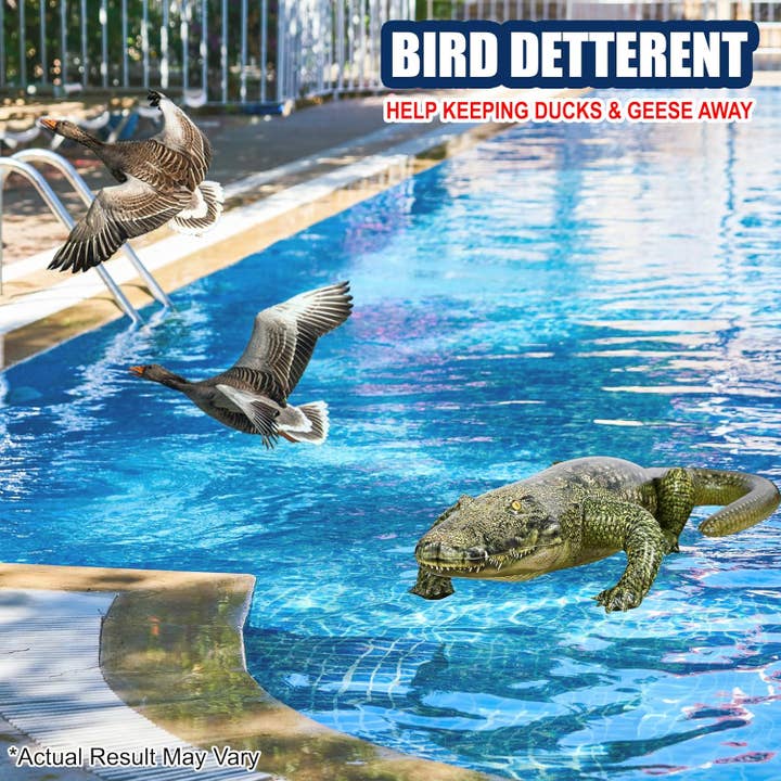 Jet Creations Inc. - Wholesale Decal - Party Decorations - Alligator Inflatable, 49 (76 Head to Tail) Inch Long4