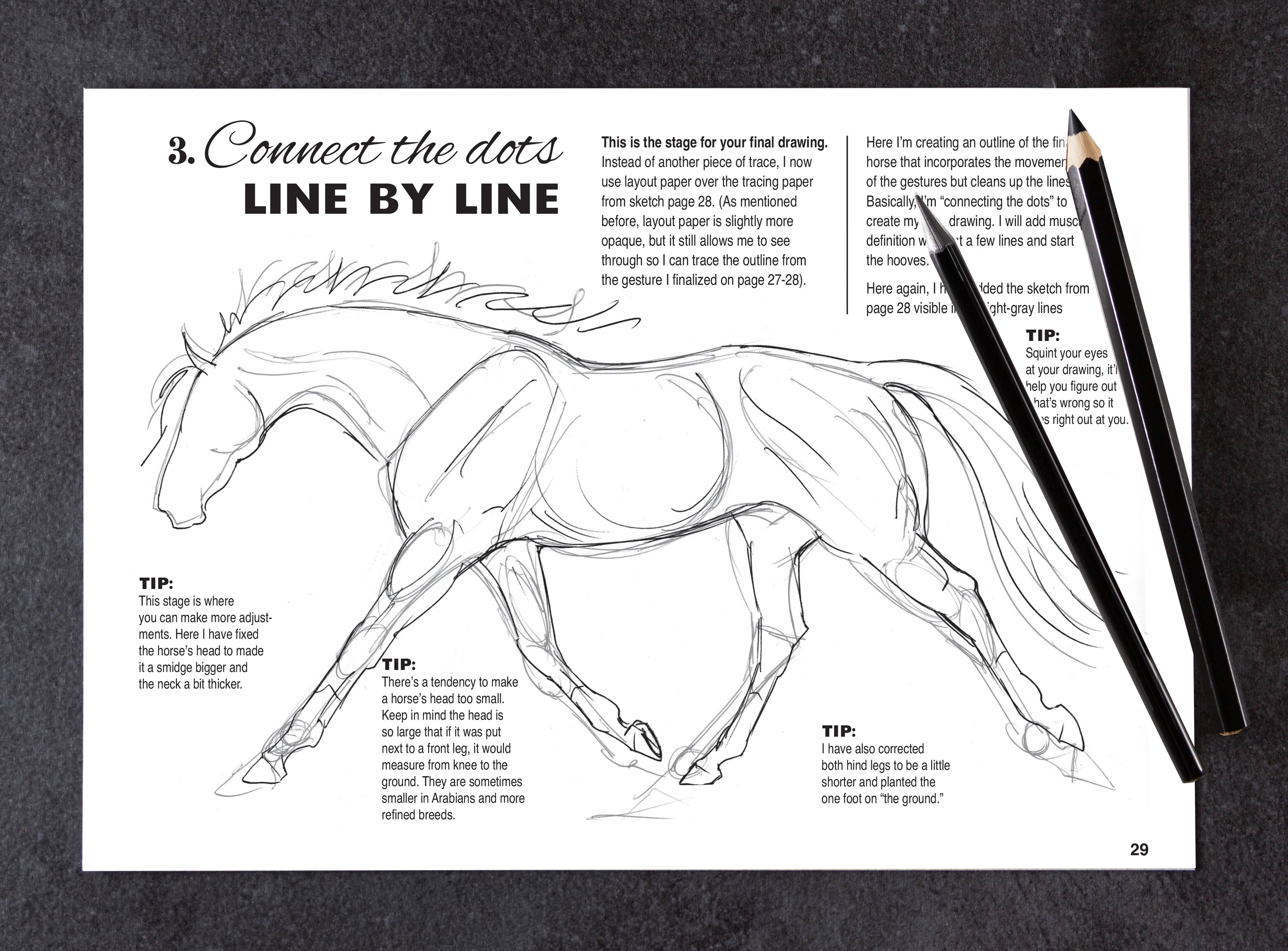 Horse Hollow Press / Pretty, Funny, Snarky Cards & Stickers - Wholesale Coloring & Activity Book - Adult - Art Book Horse Equestrian / Anyone Can Draw Horses / All Age9