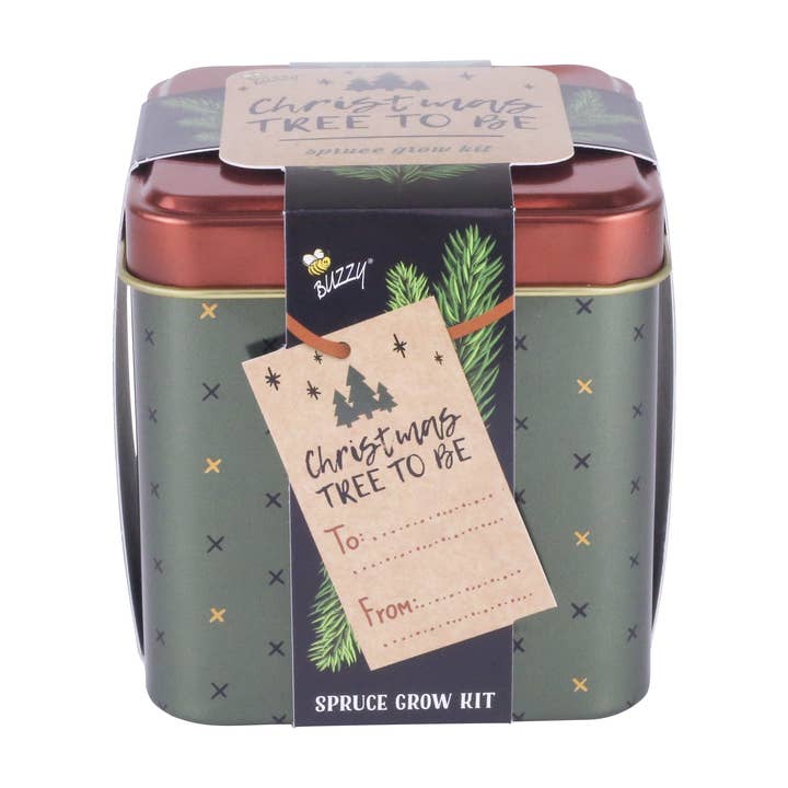 Buzzy, Inc. - Wholesale Plant Seeds - Buzzy Seeds Holiday Square Tin - Spruce
