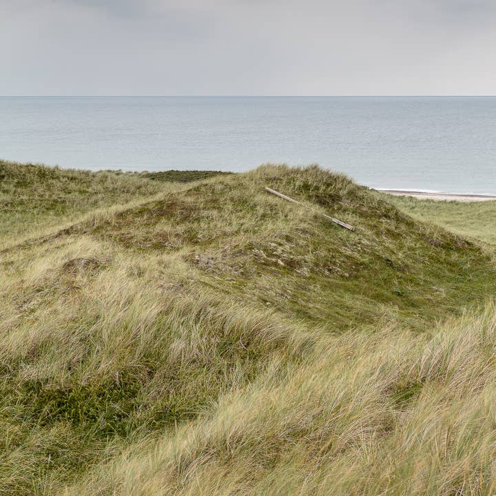 Foto Factory - Wholesale Art Print - Dune Mills Poster1