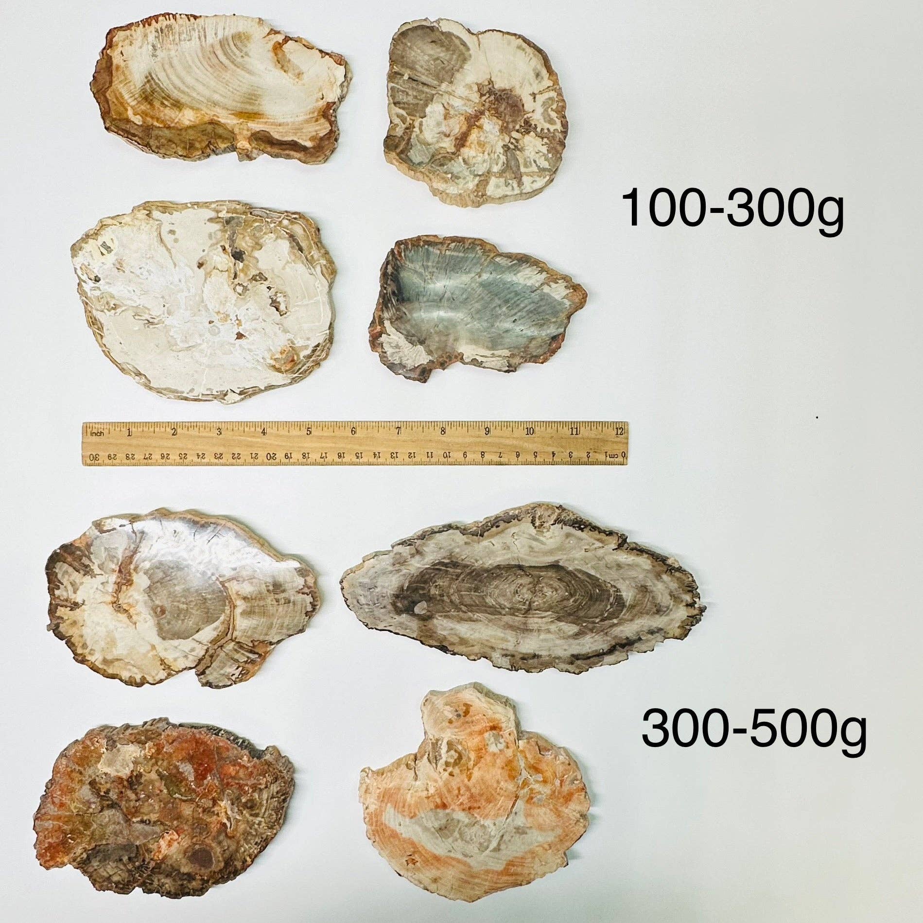 Rock Paradise - Wholesale Spiritual Stone/Crystal - Petrified Wood Slabs0