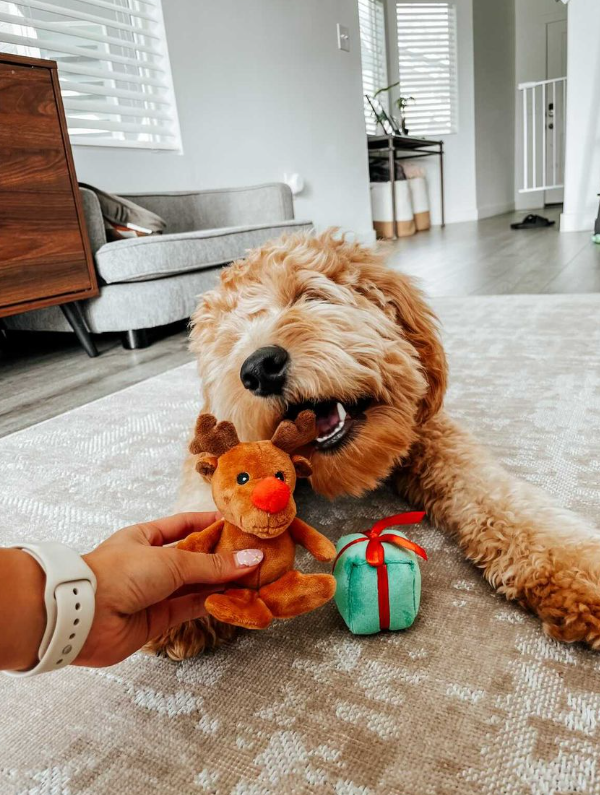 Midlee Designs – wholesale Pet plush toy – Dog – Midlee Santa Sleigh Find a Toy Christmas Dog Toy9