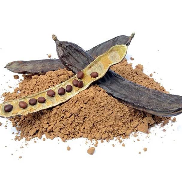 Molino Bongiovanni - Wholesale Flour - BIO carob pulp flour - 500g2