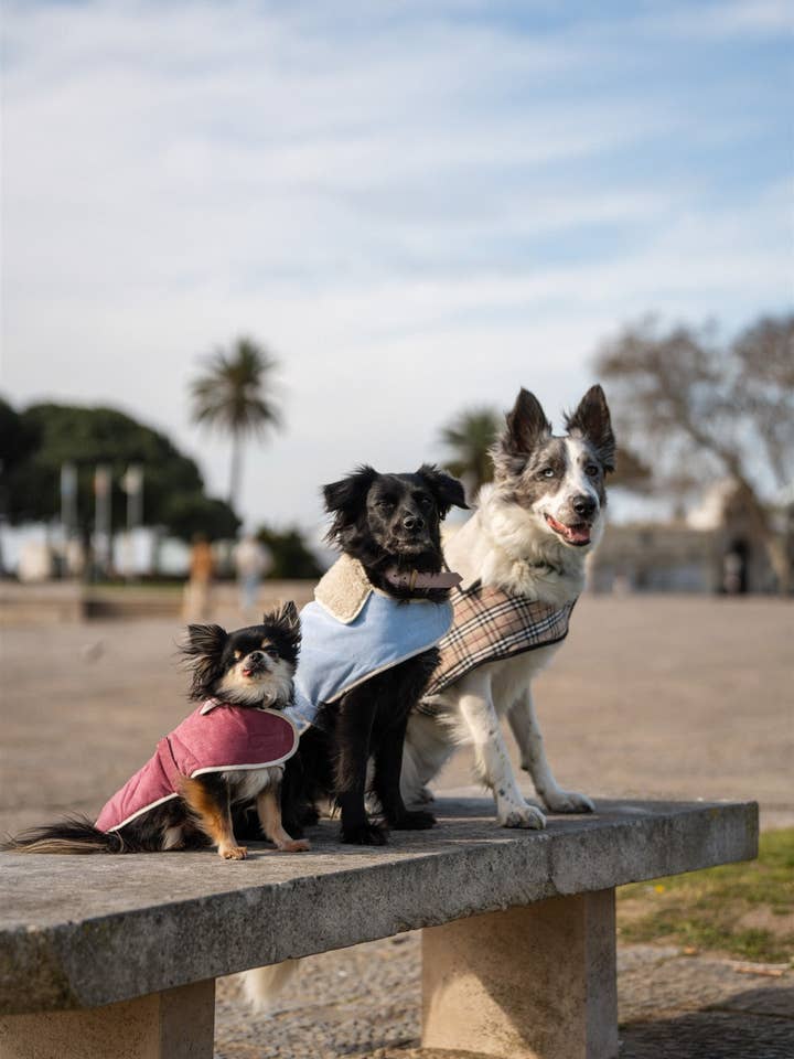 Capas Belém para frío y lluvia para venta al por mayor de Tata’s Concept
