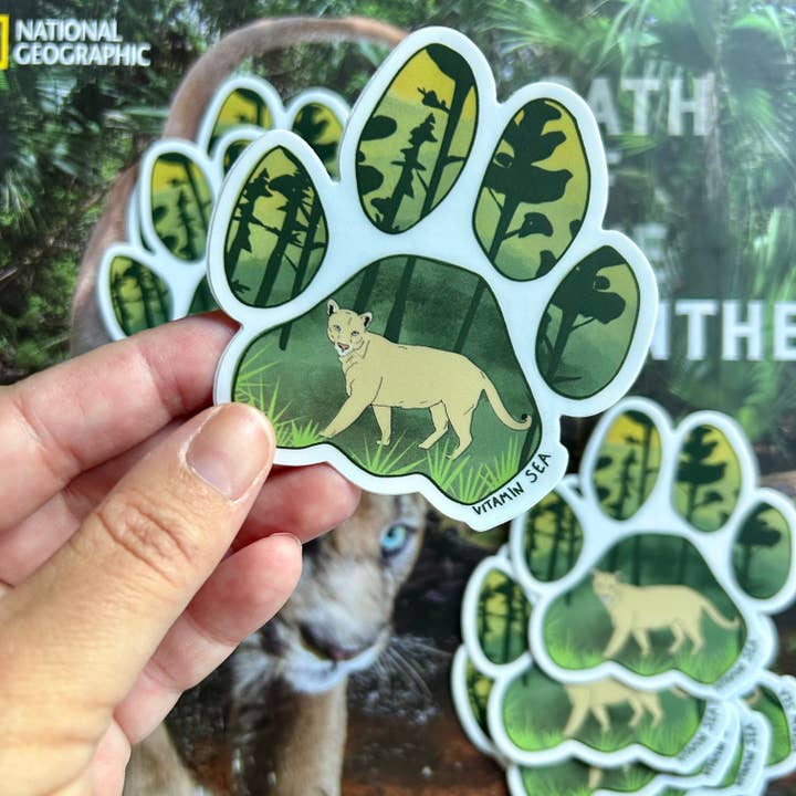 Florida Panther Sticker for wholesale by Vitamin Sea Clothing