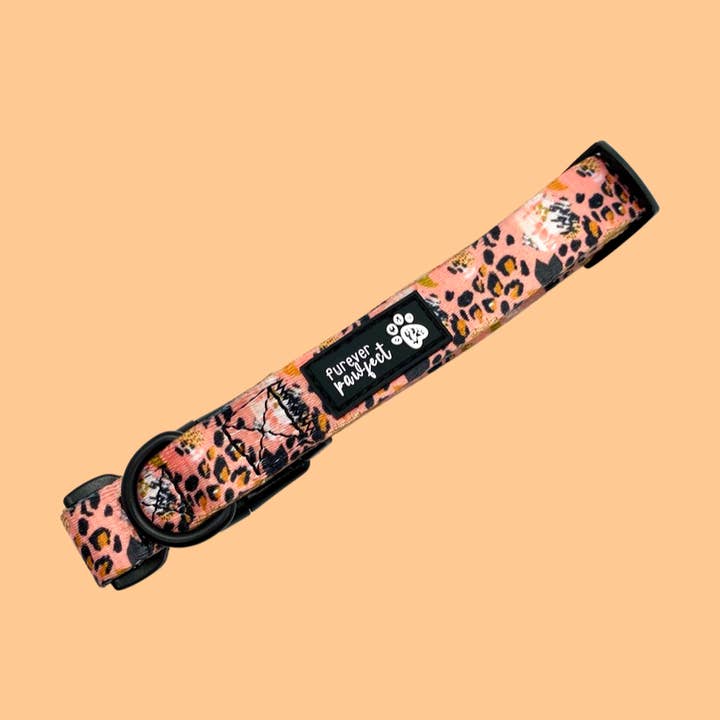 Penelope Floral Collar for wholesale by Furever Pawfect