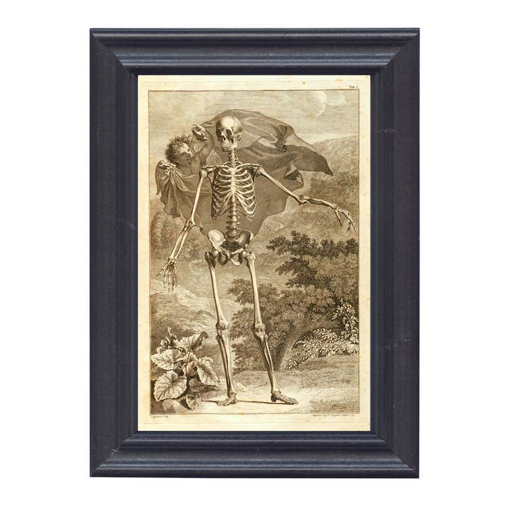 Madison Bay Co. - Historical Home Decor Reproductions - Venta al por mayor Ilustración - Estampado de esqueleto y ángel detrás de un cristal en marco de madera maciza