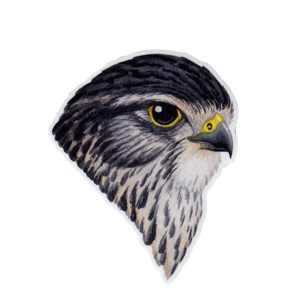 Merlin Portrait Vinyl Bird Sticker for wholesale by Kate Dolamore Art