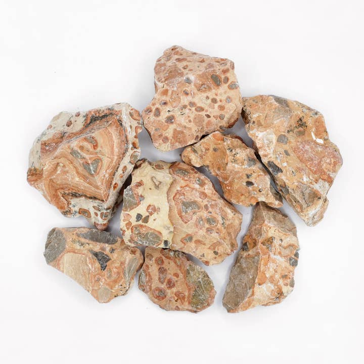 Roher Leopardenjaspis – A – 30 bis 80 mm (Los 1 kg) für den Großhandel von Marylise Mirabelli