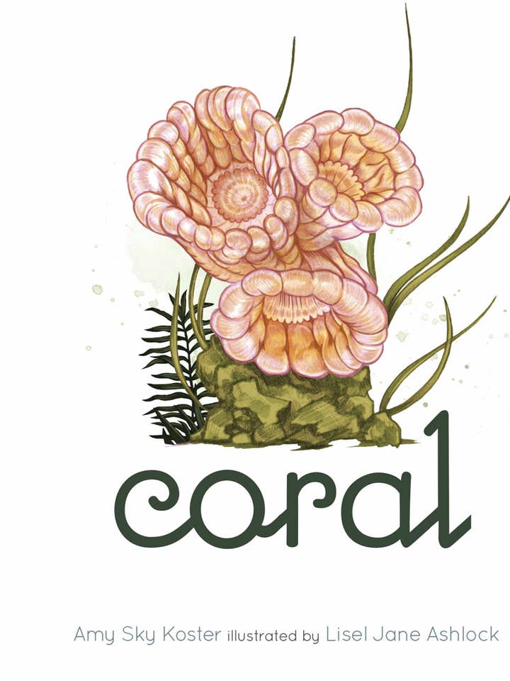 Coral - Livro Evocativo para Crianças por atacado de The Creative Company