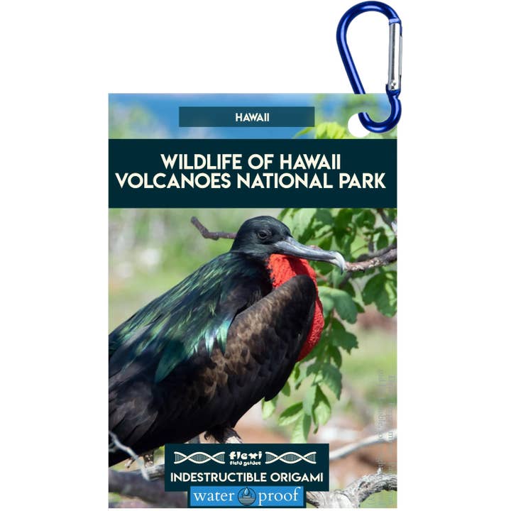 Dyreliv i Hawaii Volcanoes NP-Uforgængelig Origami for engroshandel hos Flexi Field Guides