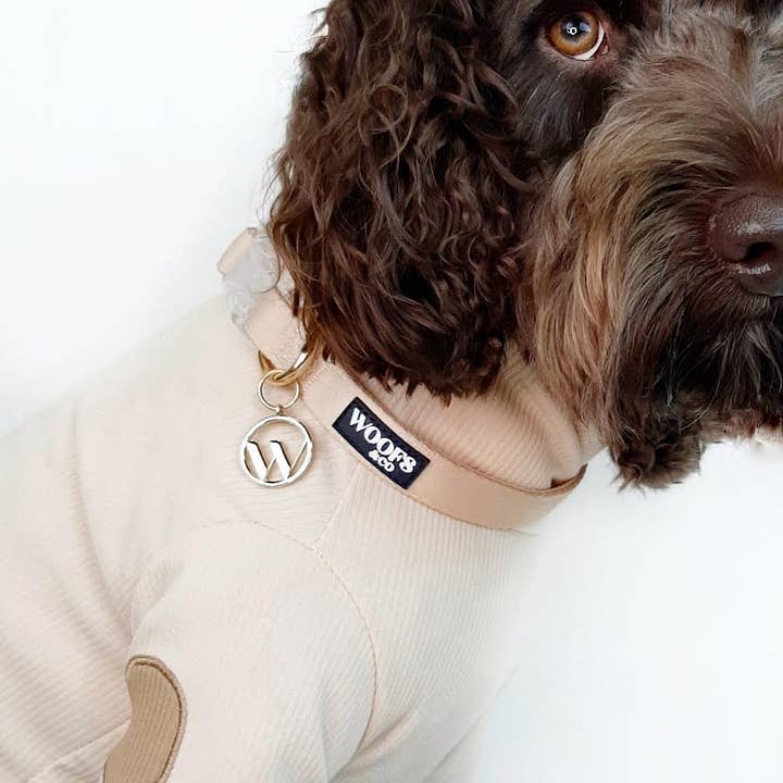 Woofs & Co - Wholesale Halsband - Hond - Halsband met Bedel - Duin1