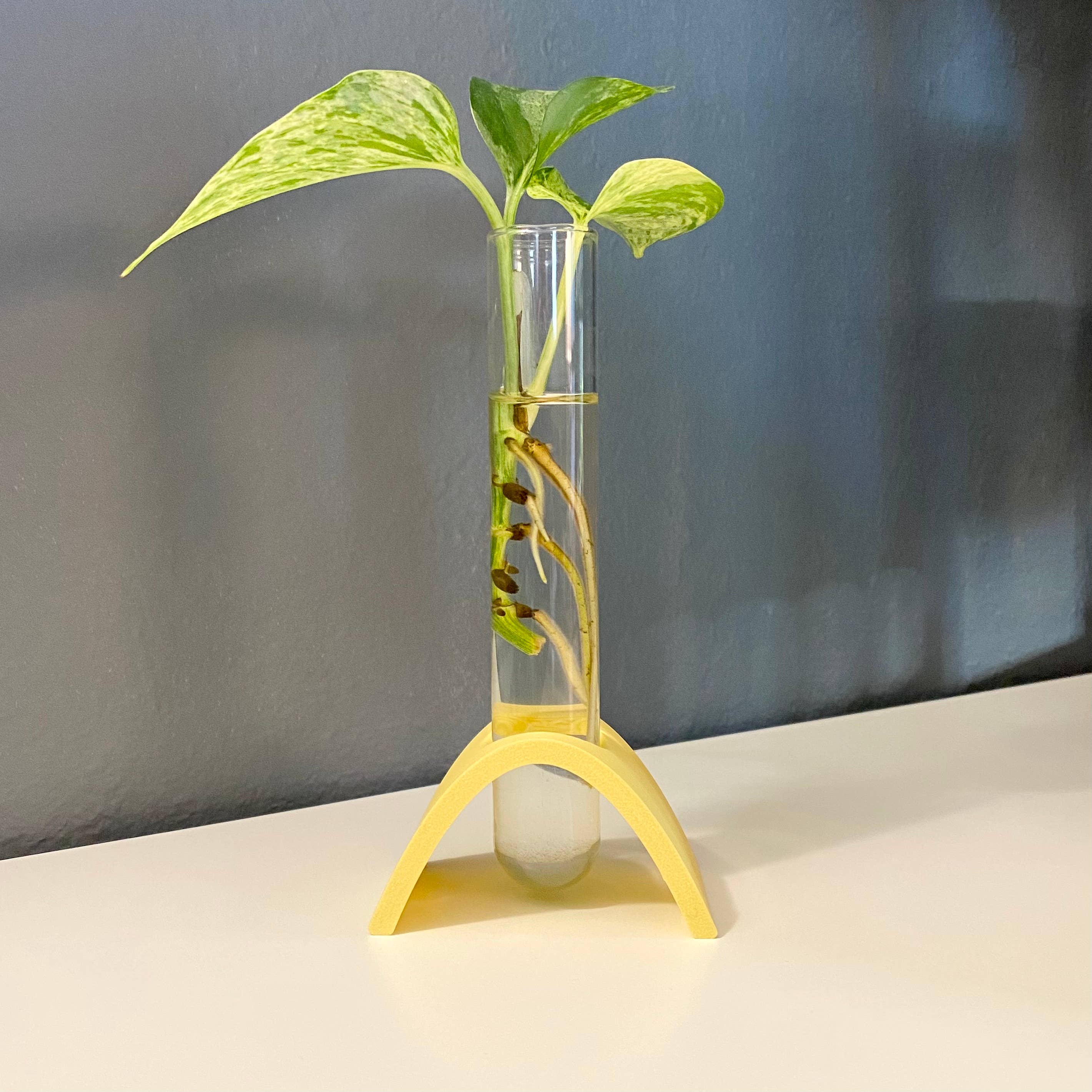 Plant Voyage - Venta al por mayor Macetas - Estación de propagación curva impresa en 3D, soporte de propagación5