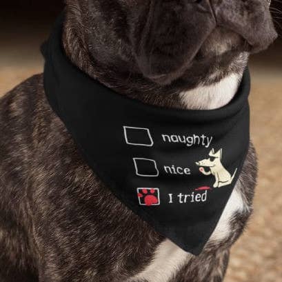 Bandana para perros Naughty Nice I Tried para venta al por mayor de Teddy the Dog