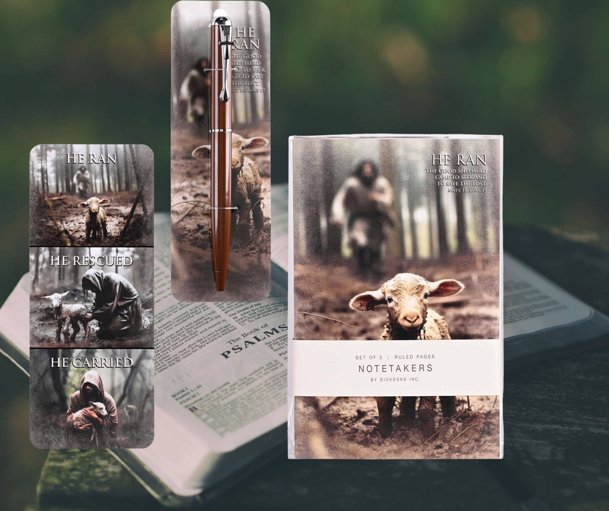 Dicksons - Wholesale Bookmark - Bookcard He Ran Rescued Carried2