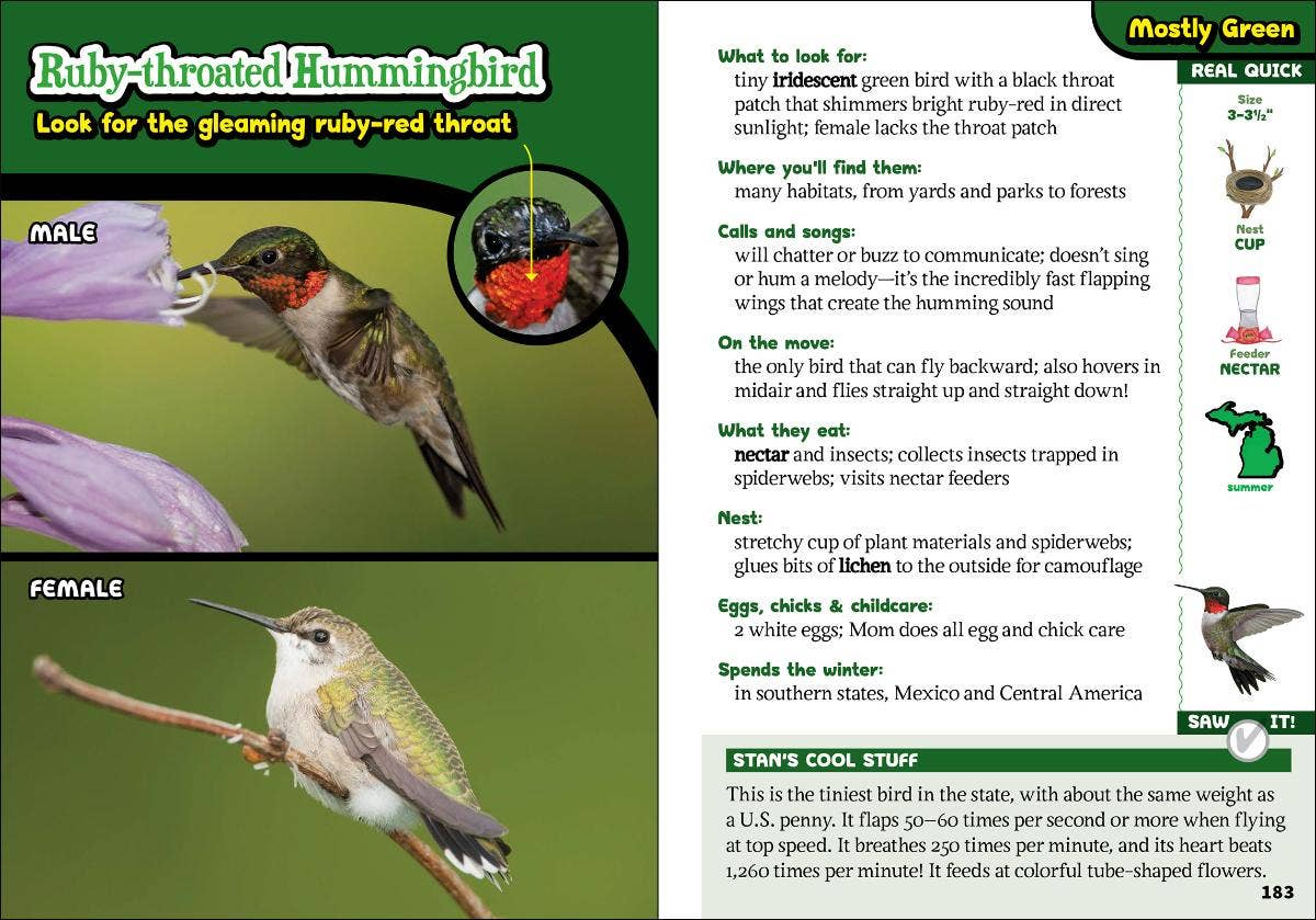 AdventureKEEN - Wholesale Nature & Outdoors - Kids' Guide to Birds of Michigan3