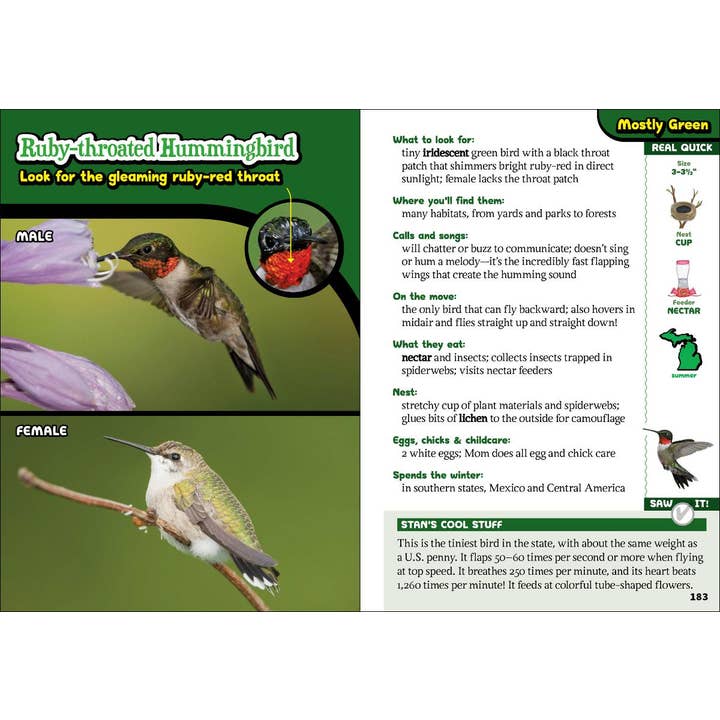 AdventureKEEN - Wholesale Nature & Outdoors - Kids' Guide to Birds of Michigan3