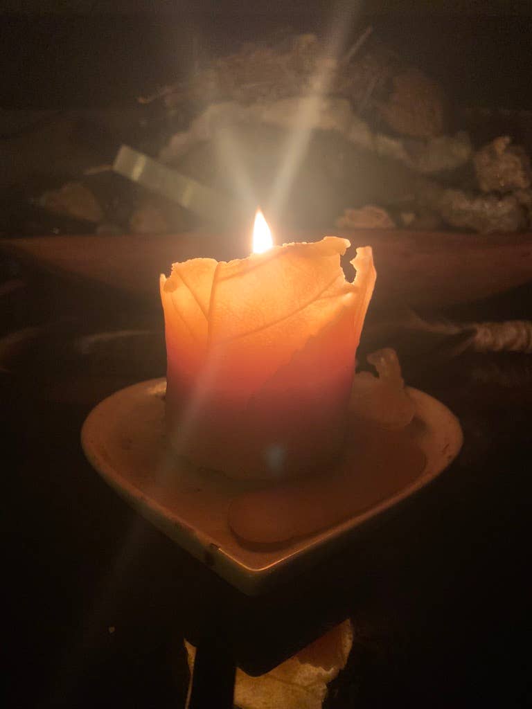 Buzz In The Hills - Vendita all'ingrosso Candele a colonna - Candela 100% in cera d'api, pilastro a foglia grande4