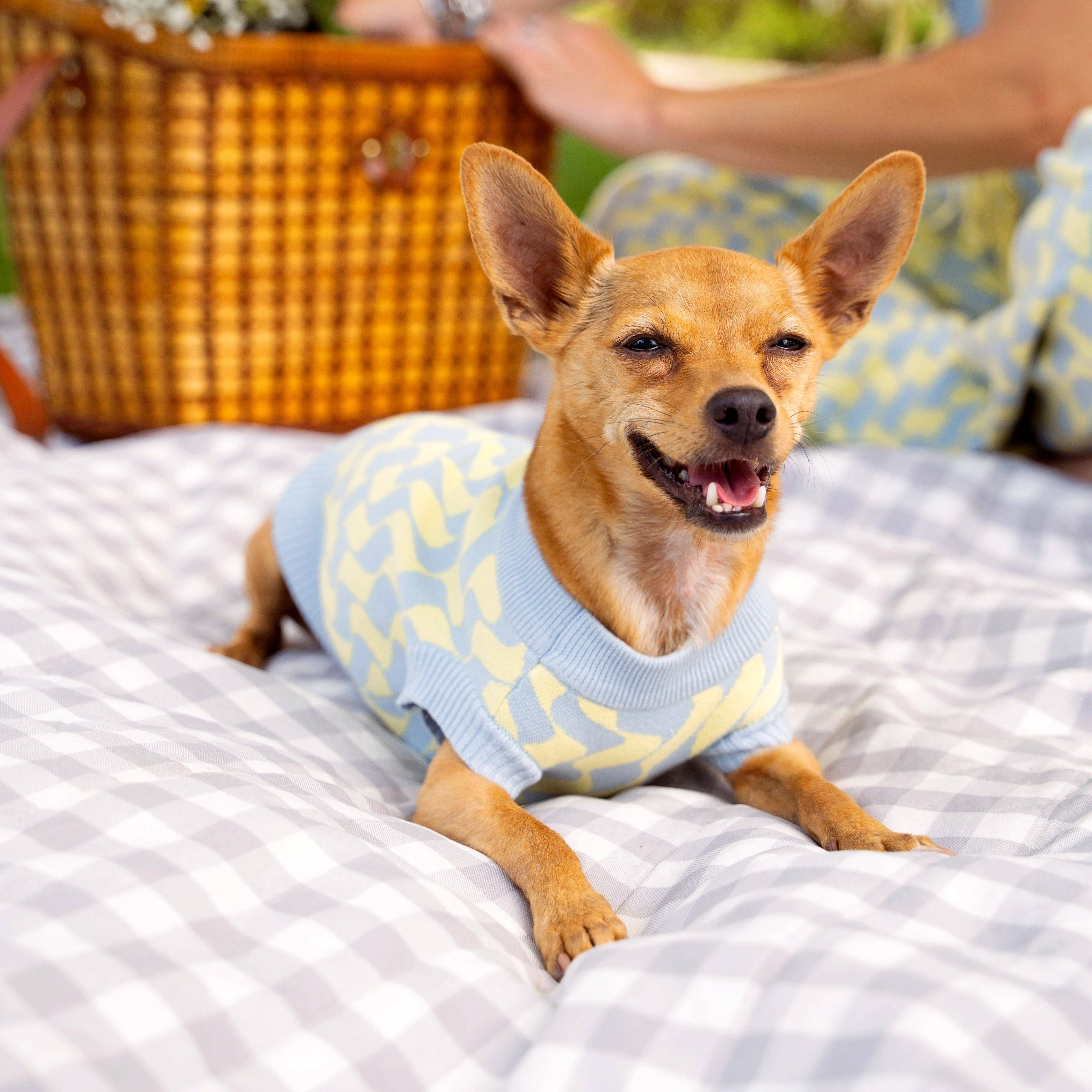 Sunbean - Wholesale Pet Sweater - Dog - Seaside Swirl Cotton Knitted Dog Vest4