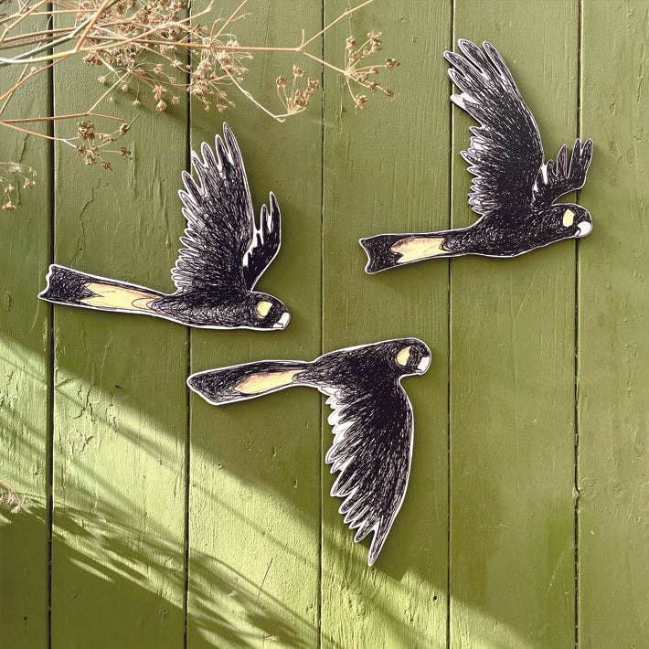 Australian Aviary ~ Wall Decorations ~ Yellow-tailed Black Cockatoos (set of 3) for wholesale by Bridget Farmer Printmaker